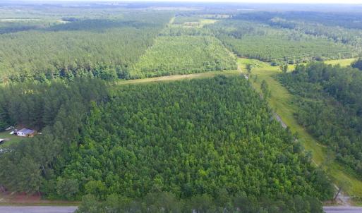 Photo of UNDER CONTRACT!  22 Acres of Wooded Hunting Land For Sale in Greensville County VA!