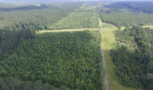 Photo of UNDER CONTRACT!  22 Acres of Wooded Hunting Land For Sale in Greensville County VA!