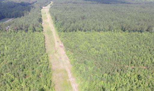 Photo of UNDER CONTRACT!  22 Acres of Wooded Hunting Land For Sale in Greensville County VA!