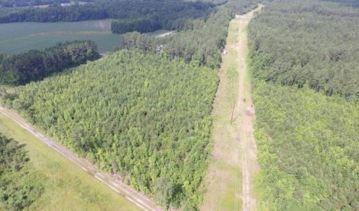 Photo of UNDER CONTRACT!  22 Acres of Wooded Hunting Land For Sale in Greensville County VA!