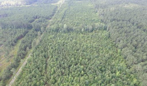 Photo of UNDER CONTRACT!  22 Acres of Wooded Hunting Land For Sale in Greensville County VA!