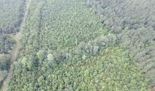 Photo of UNDER CONTRACT!  22 Acres of Wooded Hunting Land For Sale in Greensville County VA!