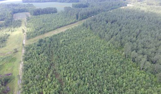 Photo of UNDER CONTRACT!  22 Acres of Wooded Hunting Land For Sale in Greensville County VA!
