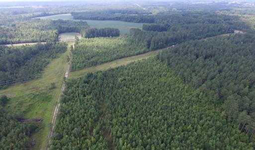Photo of UNDER CONTRACT!  22 Acres of Wooded Hunting Land For Sale in Greensville County VA!