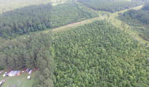Photo of UNDER CONTRACT!  22 Acres of Wooded Hunting Land For Sale in Greensville County VA!