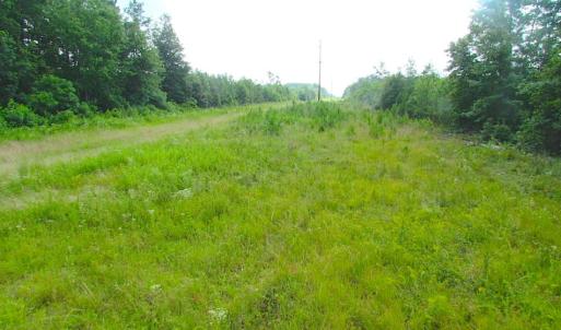 Photo of UNDER CONTRACT!  22 Acres of Wooded Hunting Land For Sale in Greensville County VA!