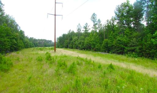 Photo of UNDER CONTRACT!  22 Acres of Wooded Hunting Land For Sale in Greensville County VA!
