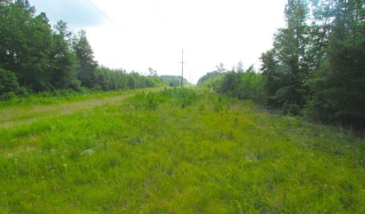 Photo of UNDER CONTRACT!  22 Acres of Wooded Hunting Land For Sale in Greensville County VA!