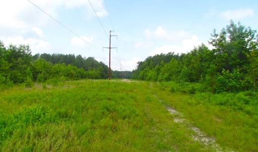 Photo of UNDER CONTRACT!  22 Acres of Wooded Hunting Land For Sale in Greensville County VA!