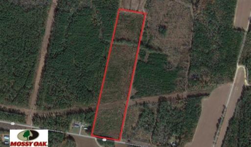 Photo of UNDER CONTRACT!  22 Acres of Wooded Hunting Land For Sale in Greensville County VA!