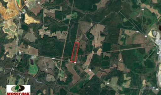 Photo of UNDER CONTRACT!  22 Acres of Wooded Hunting Land For Sale in Greensville County VA!