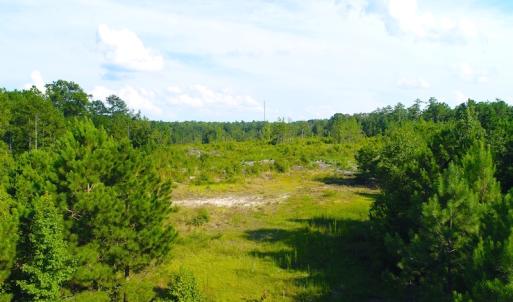 Photo of UNDER CONTRACT!  23 Acres of Residential and Recreational Property For Sale in Harnett County NC!