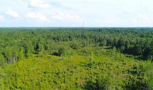 Photo of UNDER CONTRACT!  23 Acres of Residential and Recreational Property For Sale in Harnett County NC!