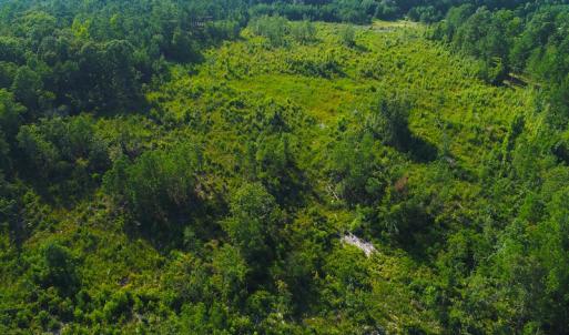 Photo of UNDER CONTRACT!  23 Acres of Residential and Recreational Property For Sale in Harnett County NC!