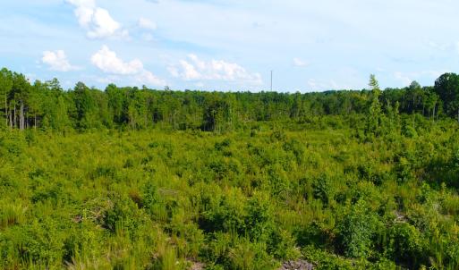 Photo of UNDER CONTRACT!  23 Acres of Residential and Recreational Property For Sale in Harnett County NC!