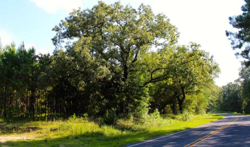 Photo of UNDER CONTRACT!  23 Acres of Residential and Recreational Property For Sale in Harnett County NC!