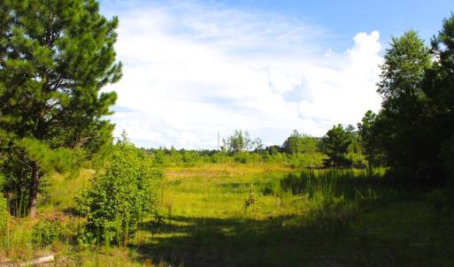 Photo of UNDER CONTRACT!  23 Acres of Residential and Recreational Property For Sale in Harnett County NC!