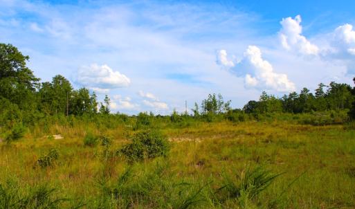 Photo of UNDER CONTRACT!  23 Acres of Residential and Recreational Property For Sale in Harnett County NC!