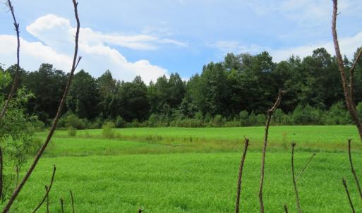 Photo of SOLD!  101 Acres of Hunting Land For Sale in Cumberland County NC!