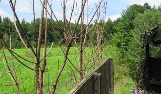 Photo of SOLD!  101 Acres of Hunting Land For Sale in Cumberland County NC!
