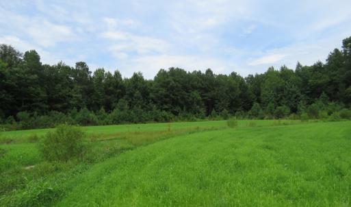 Photo of SOLD!  101 Acres of Hunting Land For Sale in Cumberland County NC!