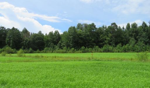Photo of SOLD!  101 Acres of Hunting Land For Sale in Cumberland County NC!