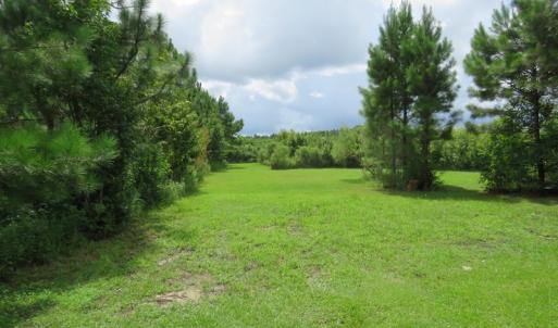 Photo of UNDER CONTRACT!  37.36 Acres of Hunting and Timber Land with House For Sale in Columbus County NC!