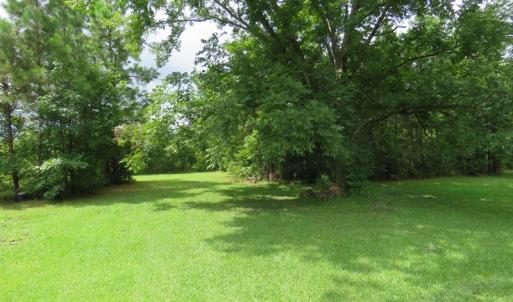Photo of UNDER CONTRACT!  37.36 Acres of Hunting and Timber Land with House For Sale in Columbus County NC!