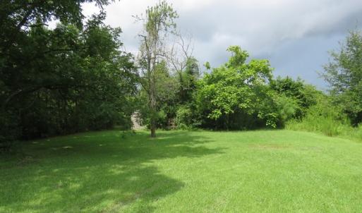 Photo of UNDER CONTRACT!  37.36 Acres of Hunting and Timber Land with House For Sale in Columbus County NC!