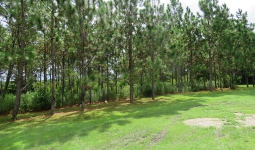 Photo of UNDER CONTRACT!  37.36 Acres of Hunting and Timber Land with House For Sale in Columbus County NC!