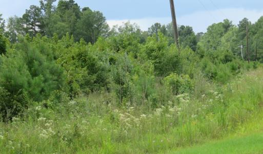 Photo of UNDER CONTRACT!  37.36 Acres of Hunting and Timber Land with House For Sale in Columbus County NC!