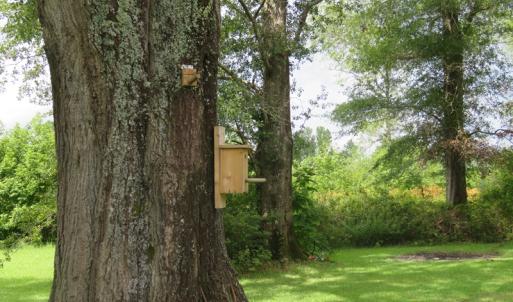 Photo of UNDER CONTRACT!  37.36 Acres of Hunting and Timber Land with House For Sale in Columbus County NC!