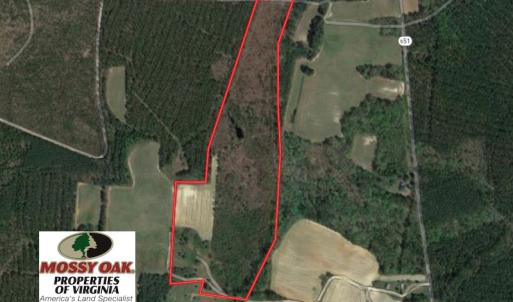 Photo of UNDER CONTRACT!  29 Acres of Hunting and Timber Land in Greensville County VA!