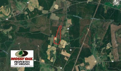 Photo of UNDER CONTRACT!  29 Acres of Hunting and Timber Land in Greensville County VA!