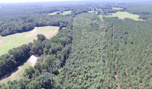 Photo of UNDER CONTRACT!  29 Acres of Hunting and Timber Land in Greensville County VA!