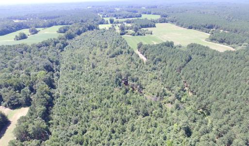 Photo of UNDER CONTRACT!  29 Acres of Hunting and Timber Land in Greensville County VA!