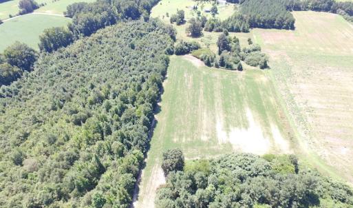 Photo of UNDER CONTRACT!  29 Acres of Hunting and Timber Land in Greensville County VA!