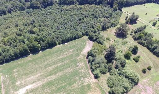 Photo of UNDER CONTRACT!  29 Acres of Hunting and Timber Land in Greensville County VA!