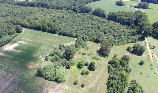 Photo of UNDER CONTRACT!  29 Acres of Hunting and Timber Land in Greensville County VA!