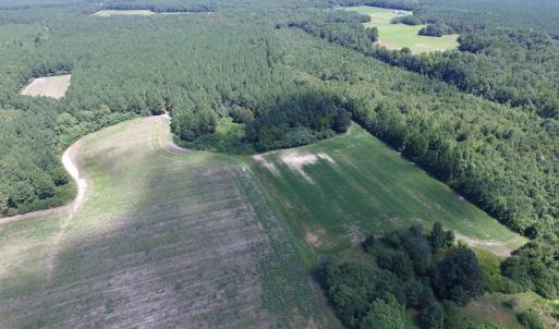 Photo of UNDER CONTRACT!  29 Acres of Hunting and Timber Land in Greensville County VA!
