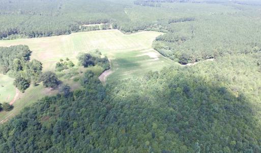 Photo of UNDER CONTRACT!  29 Acres of Hunting and Timber Land in Greensville County VA!