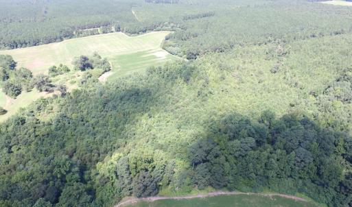 Photo of UNDER CONTRACT!  29 Acres of Hunting and Timber Land in Greensville County VA!