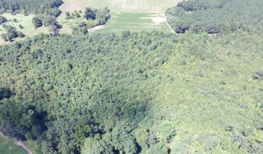 Photo of UNDER CONTRACT!  29 Acres of Hunting and Timber Land in Greensville County VA!