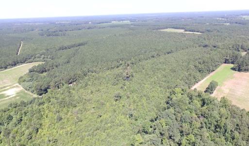 Photo of UNDER CONTRACT!  29 Acres of Hunting and Timber Land in Greensville County VA!