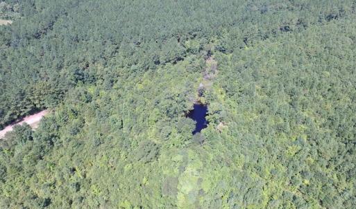 Photo of UNDER CONTRACT!  29 Acres of Hunting and Timber Land in Greensville County VA!