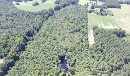 Photo of UNDER CONTRACT!  29 Acres of Hunting and Timber Land in Greensville County VA!