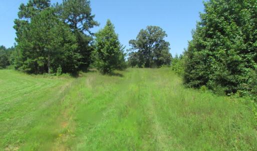 Photo of UNDER CONTRACT!  29 Acres of Hunting and Timber Land in Greensville County VA!