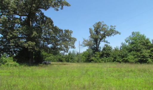 Photo of UNDER CONTRACT!  29 Acres of Hunting and Timber Land in Greensville County VA!