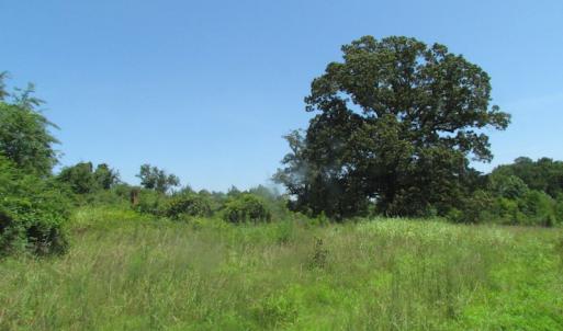 Photo of UNDER CONTRACT!  29 Acres of Hunting and Timber Land in Greensville County VA!