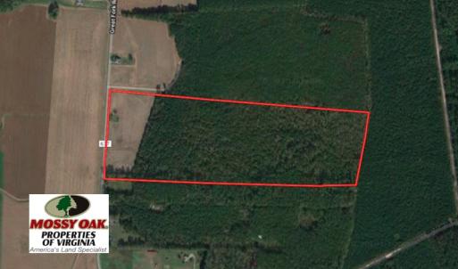 Photo of UNDER CONTRACT!  53 Acres of Hunting and Timber Land  For Sale in Suffolk VA!